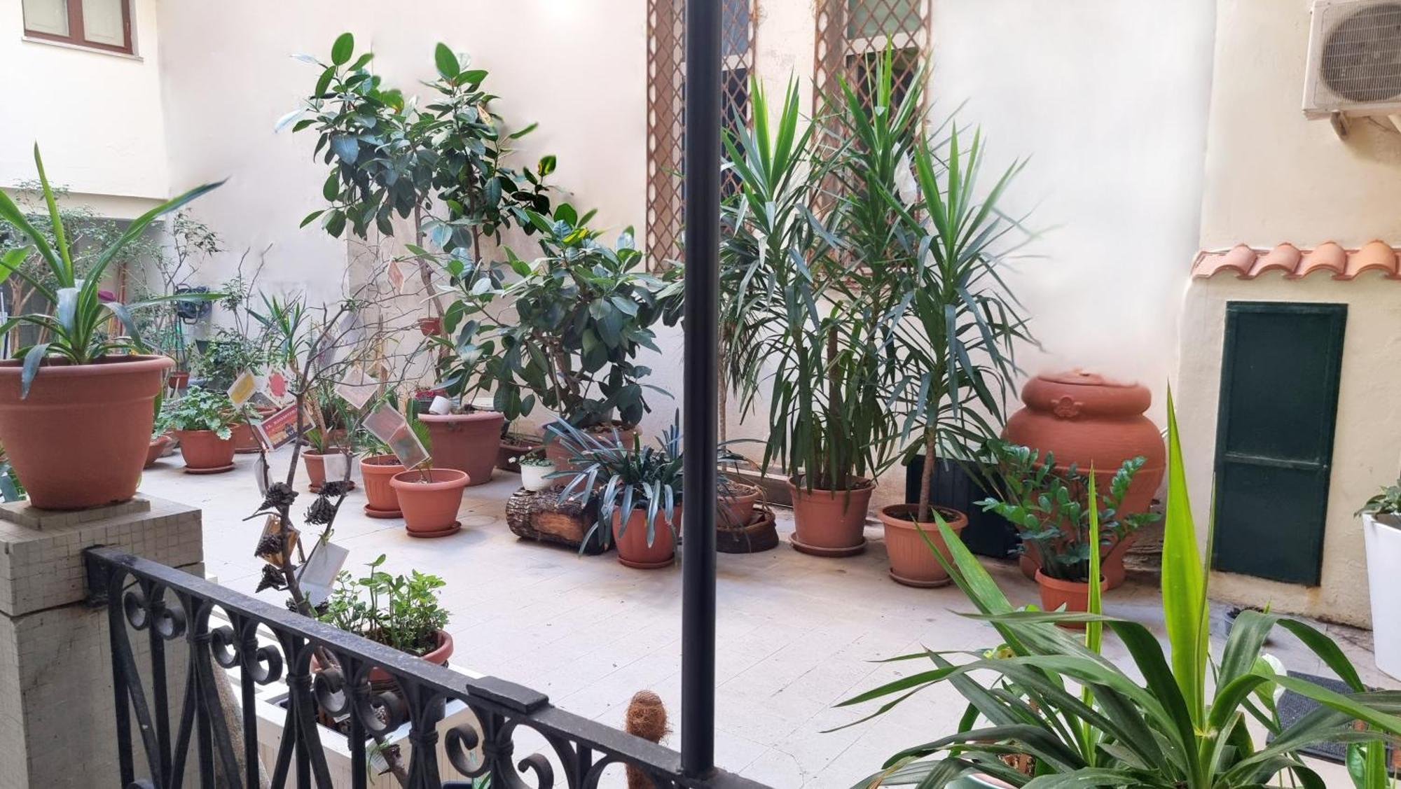 Loft Magna Grecia Reggio Calabria Centro Storico A 3 Minuti A Piedi Dal Mare Leilighet Eksteriør bilde
